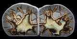 Polished Septarian Bookends #37243-3